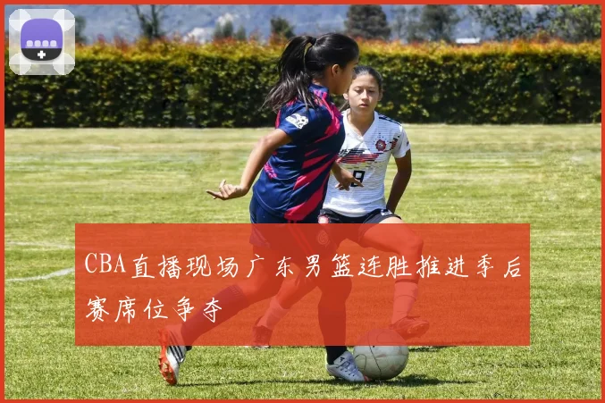 CBA直播现场广东男篮连胜推进季后赛席位争夺